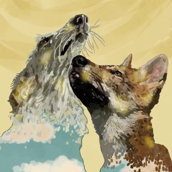 duelo por la p&eacute;rdida de un perro
