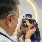 M&eacute;dicos veterinarios